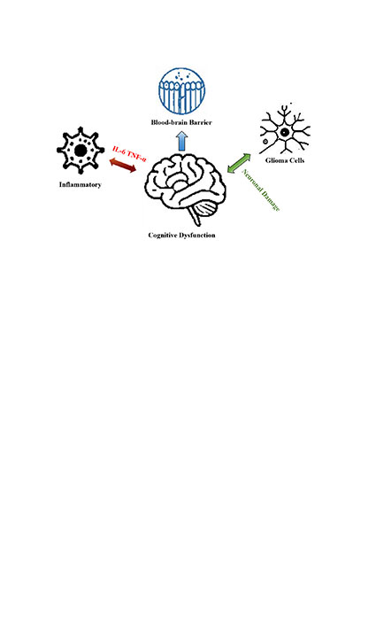 Research progress on the mechanisms, assessment methods, and intervention strategies for glioma-related cognitive impairment