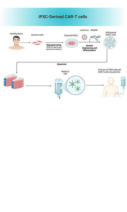 Next frontier in cancer treatment: an iPSC supported CAR-T cell therapies 