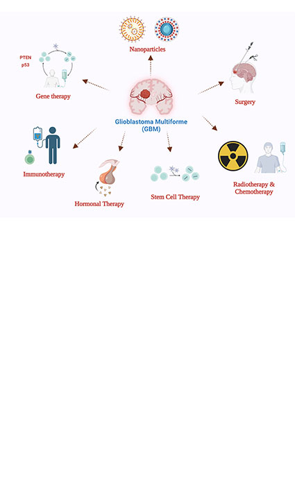 Current perspectives on glioblastoma treatment synergies between therapies and delivery systems