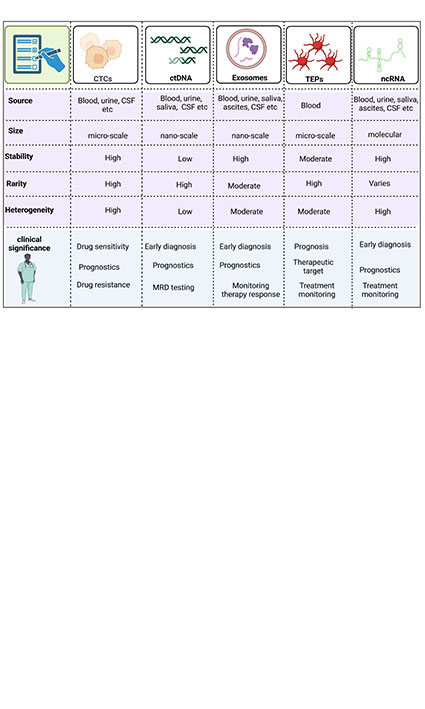 Liquid biopsy: an emerging field with new opportunities for cancer diagnosis and prognosis