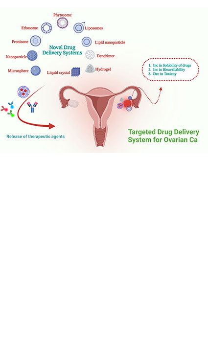 Innovative and future approaches for ovarian cancer detection and evaluation: a comprehensive review