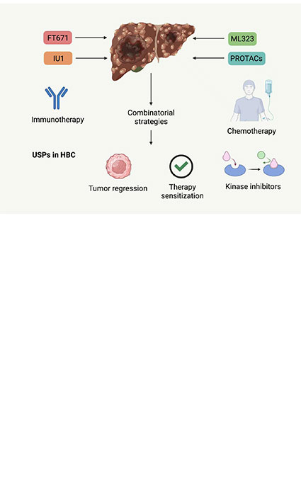 Ubiquitin-specific proteases as emerging molecular drivers and therapeutic targets in hepatobiliary cancers