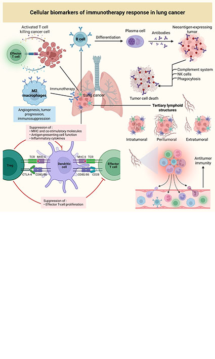 From slides to signatures: pathological determinants of immunotherapy response in lung cancer
